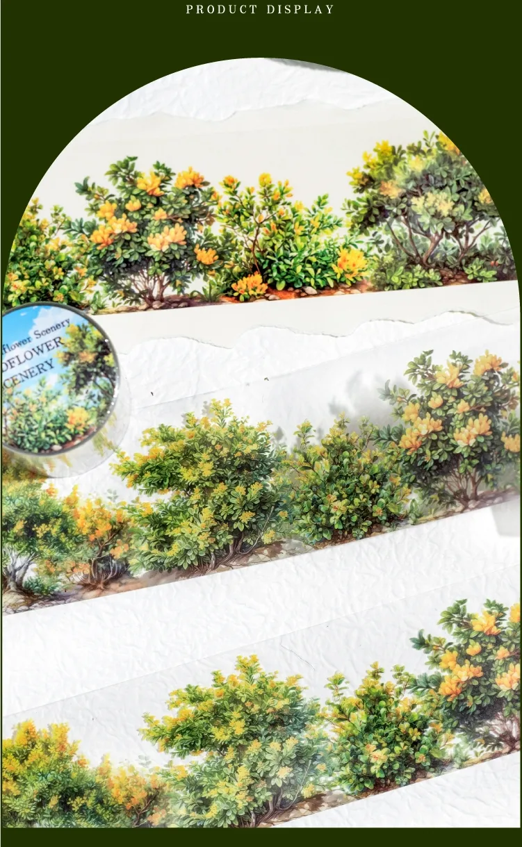 Plant Learning PET Retro Adhesive Tape display picture 7