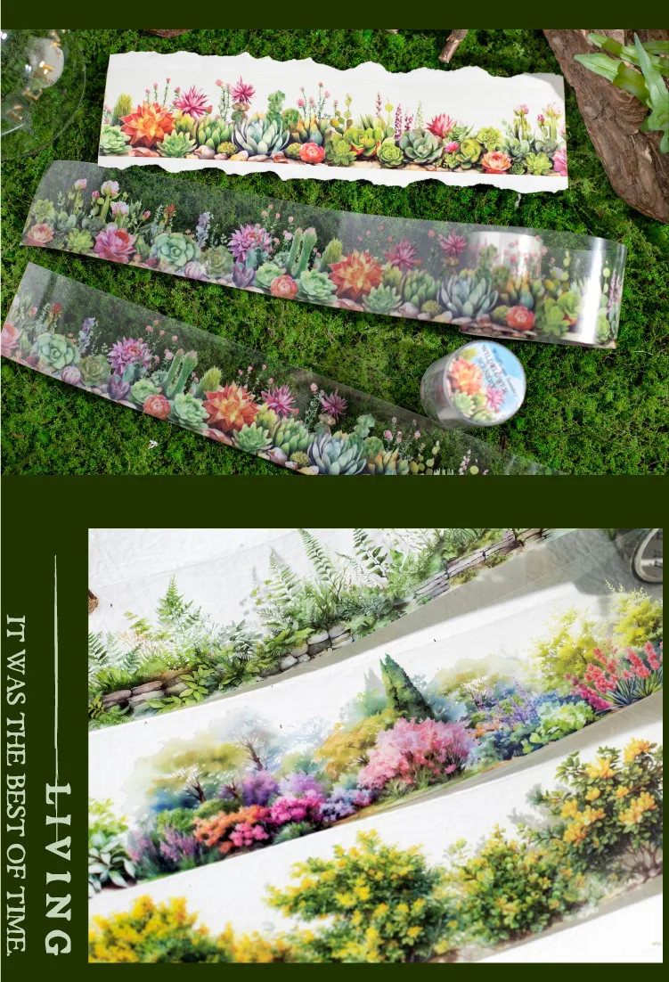 Plant Learning PET Retro Adhesive Tape display picture 8
