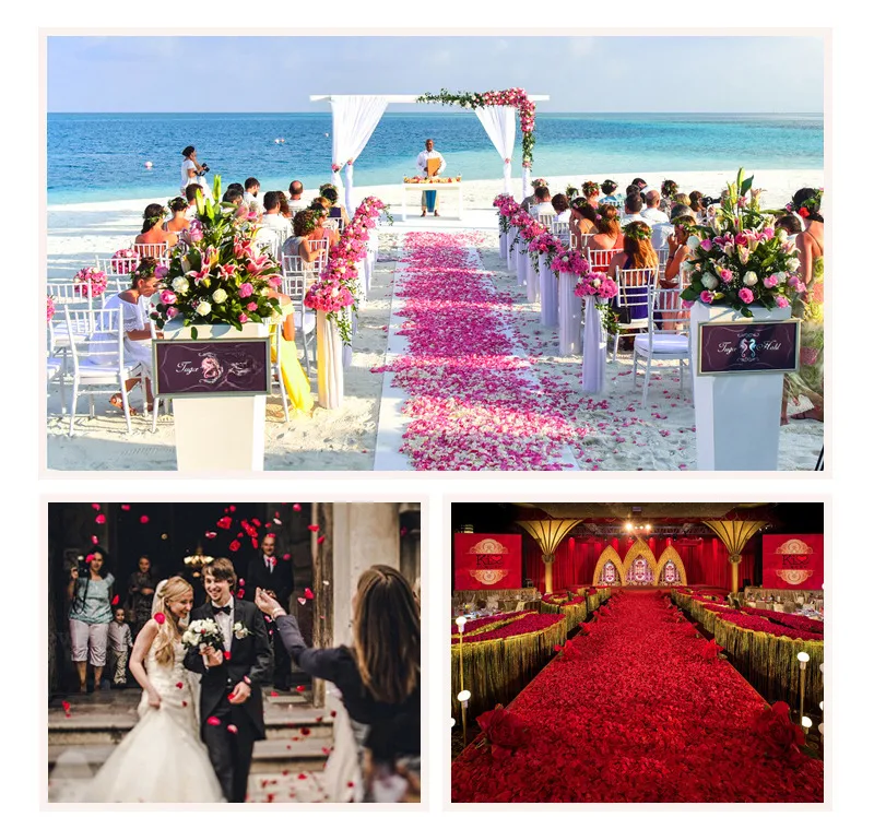 Wedding Celebration Supplies 1000 Pieces Non-Woven Fabric Rose Petal Decorative Artificial Flowers Wedding Room Decoration Petals display picture 12