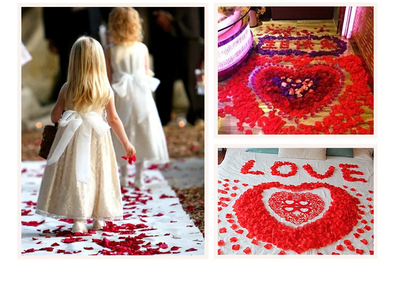 Wedding Celebration Supplies 1000 Pieces Non-Woven Fabric Rose Petal Decorative Artificial Flowers Wedding Room Decoration Petals display picture 13