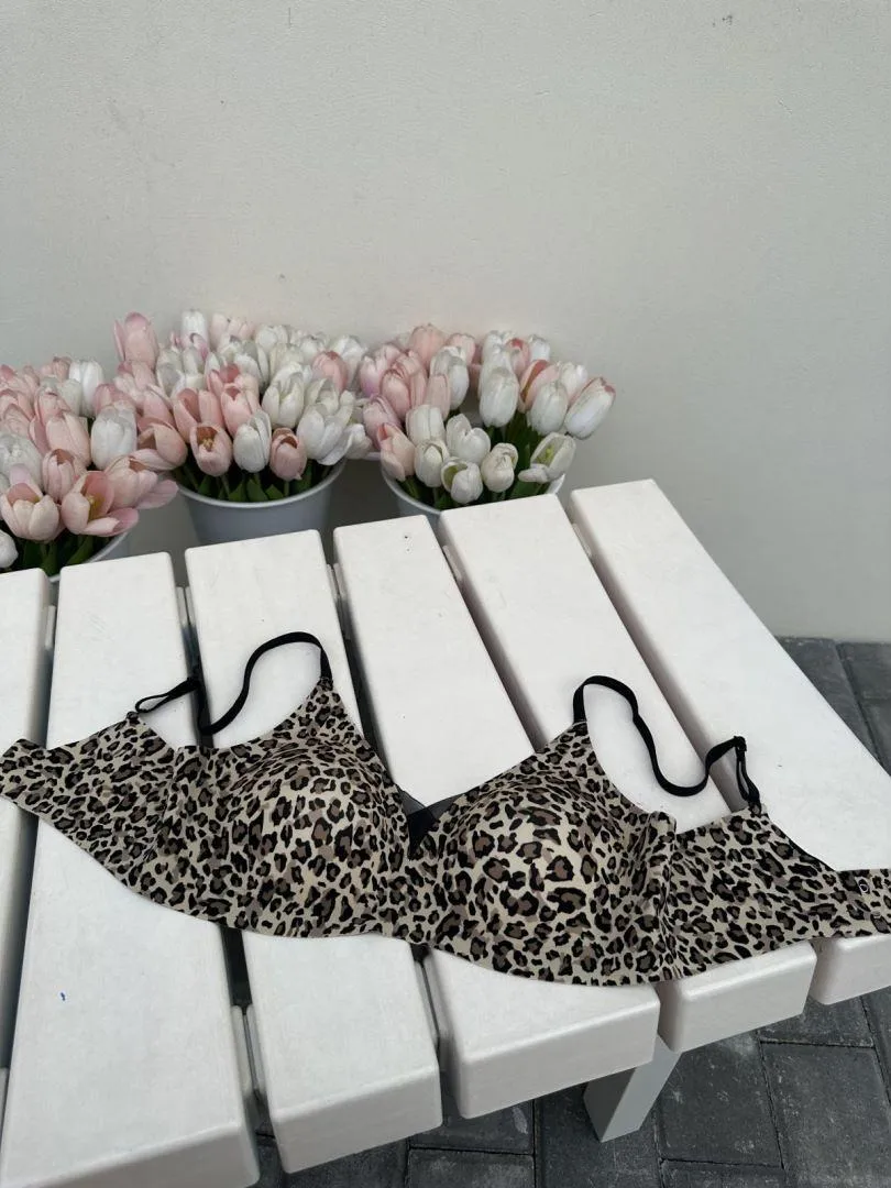 Leopard display picture 30