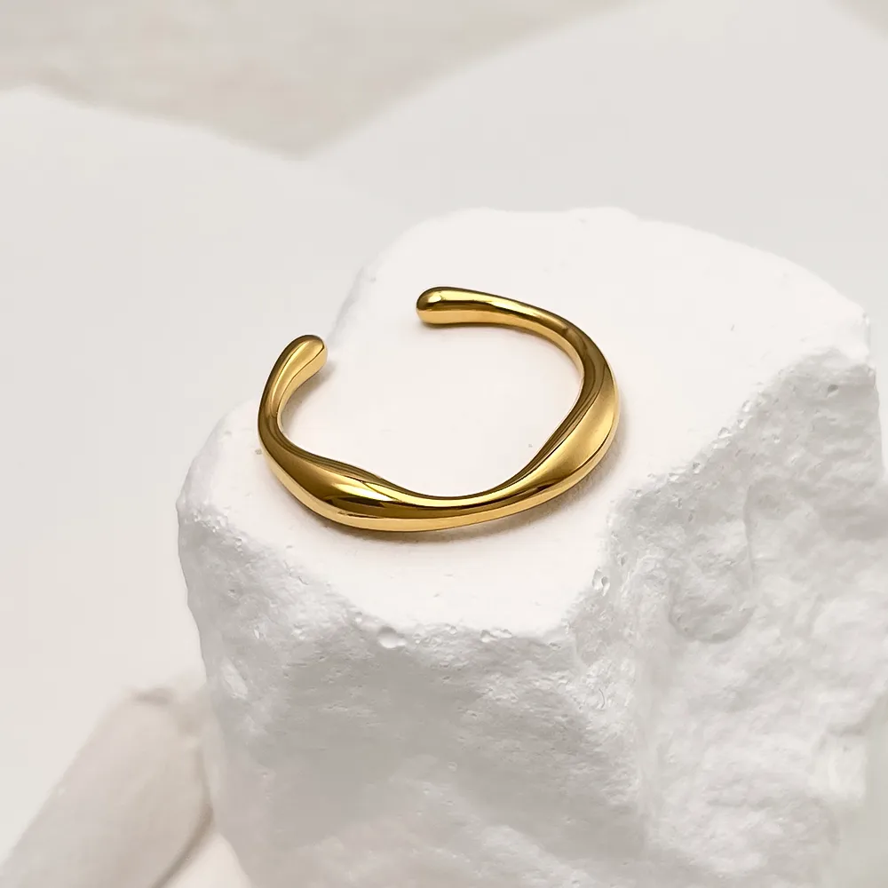 Simple Style Solid Color 304 Stainless Steel 18K Gold Plated Men's Rings display picture 6