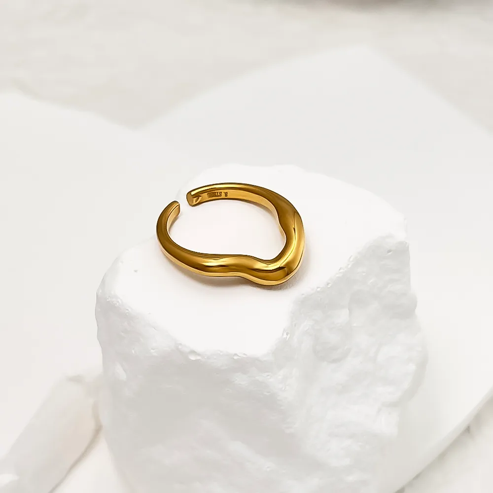 Simple Style Solid Color 304 Stainless Steel 18K Gold Plated Men's Rings display picture 1
