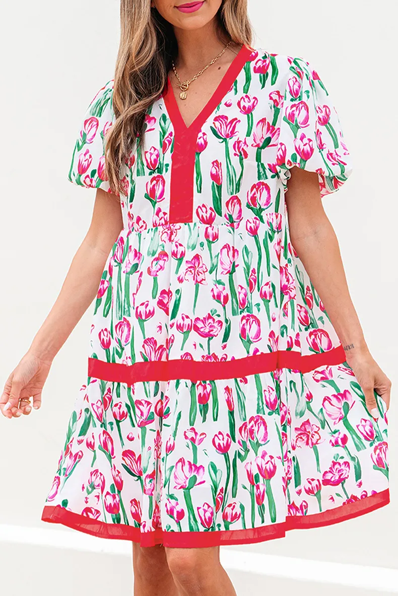 Women's Floral Dress Pastoral Simple Style V Neck Short Sleeve Color Block Flower Knee-Length Casual Holiday display picture 1