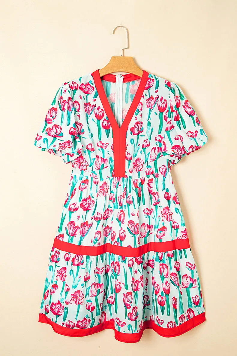 Women's Floral Dress Pastoral Simple Style V Neck Short Sleeve Color Block Flower Knee-Length Casual Holiday display picture 6