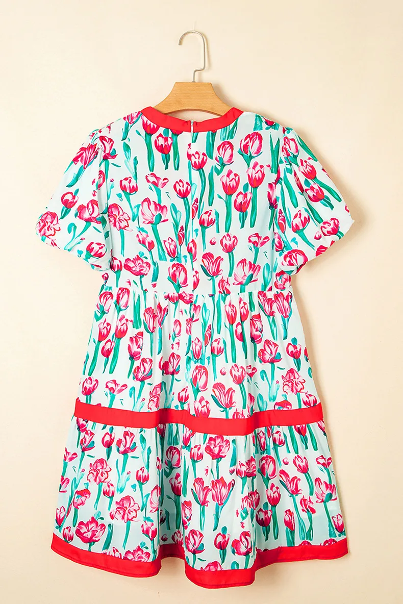 Women's Floral Dress Pastoral Simple Style V Neck Short Sleeve Color Block Flower Knee-Length Casual Holiday display picture 7
