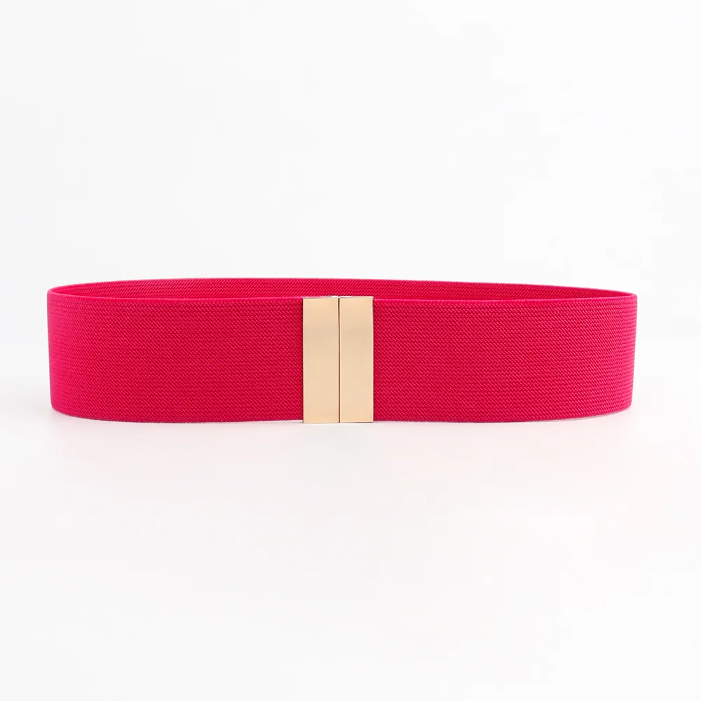 Modern Style Solid Color Alloy Women's Chain Belts display picture 20
