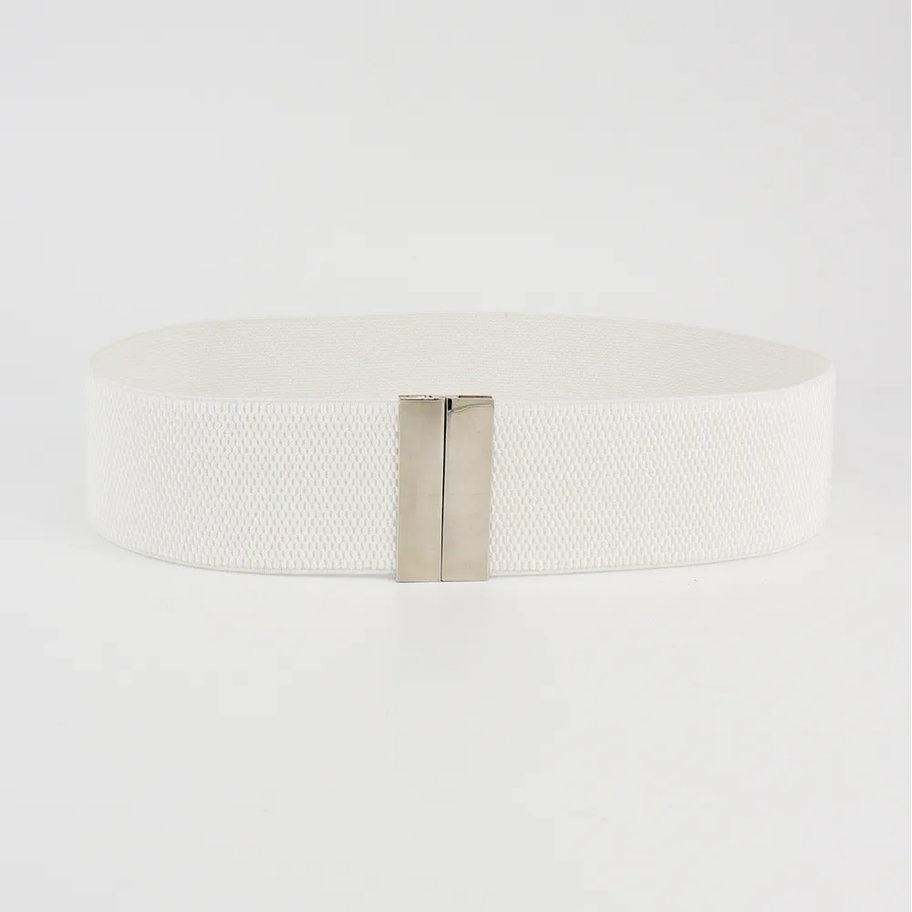 Modern Style Solid Color Alloy Women's Chain Belts display picture 8