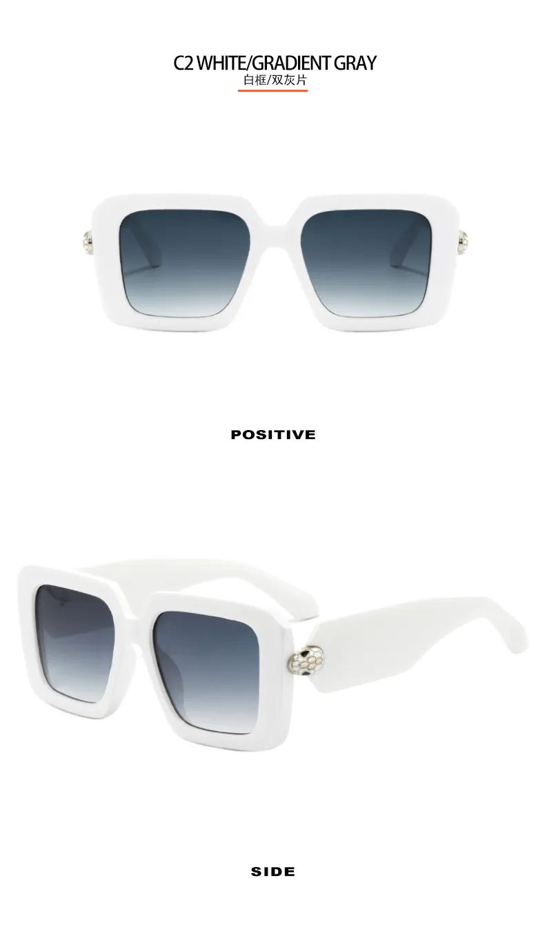 New Sunglasses CH5006 display picture 8
