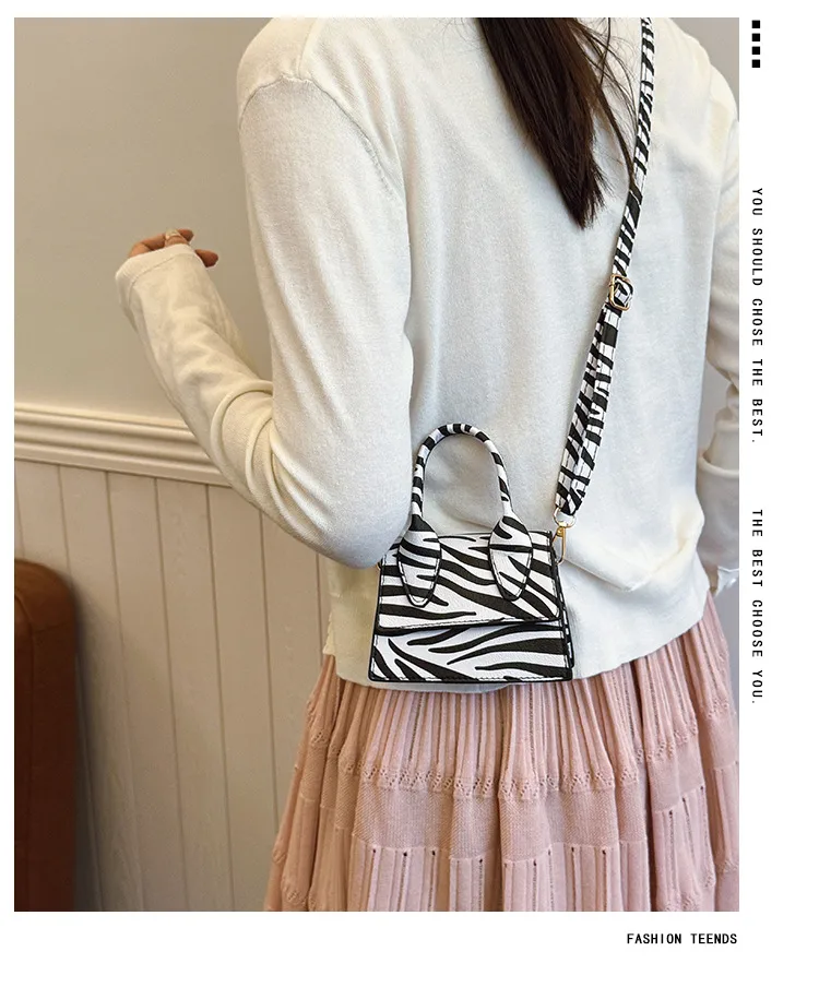 Niche Mini Crossbody Bag Female  New Fashion New Style Small Square Bag Zebra Print Textured Handbag display picture 1