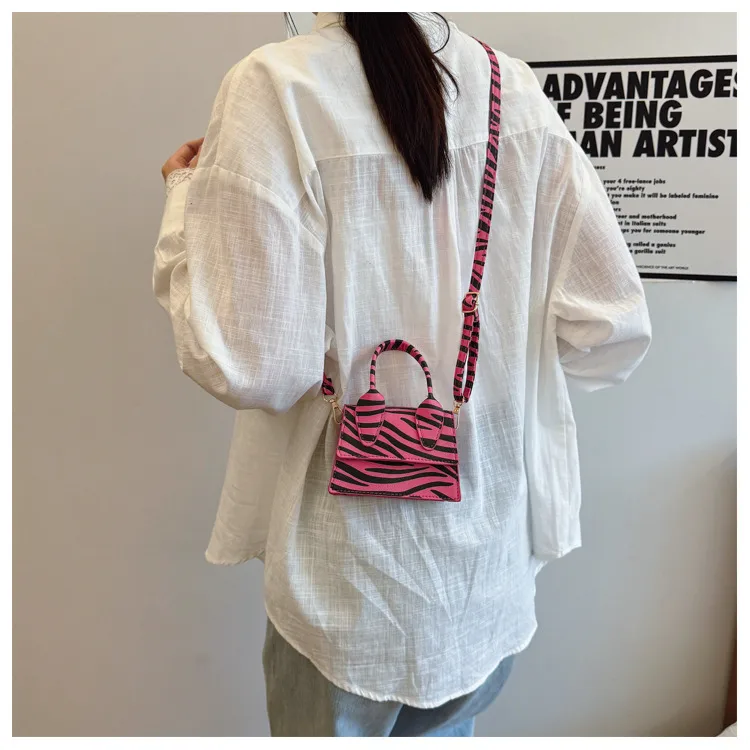 Niche Mini Crossbody Bag Female  New Fashion New Style Small Square Bag Zebra Print Textured Handbag display picture 6