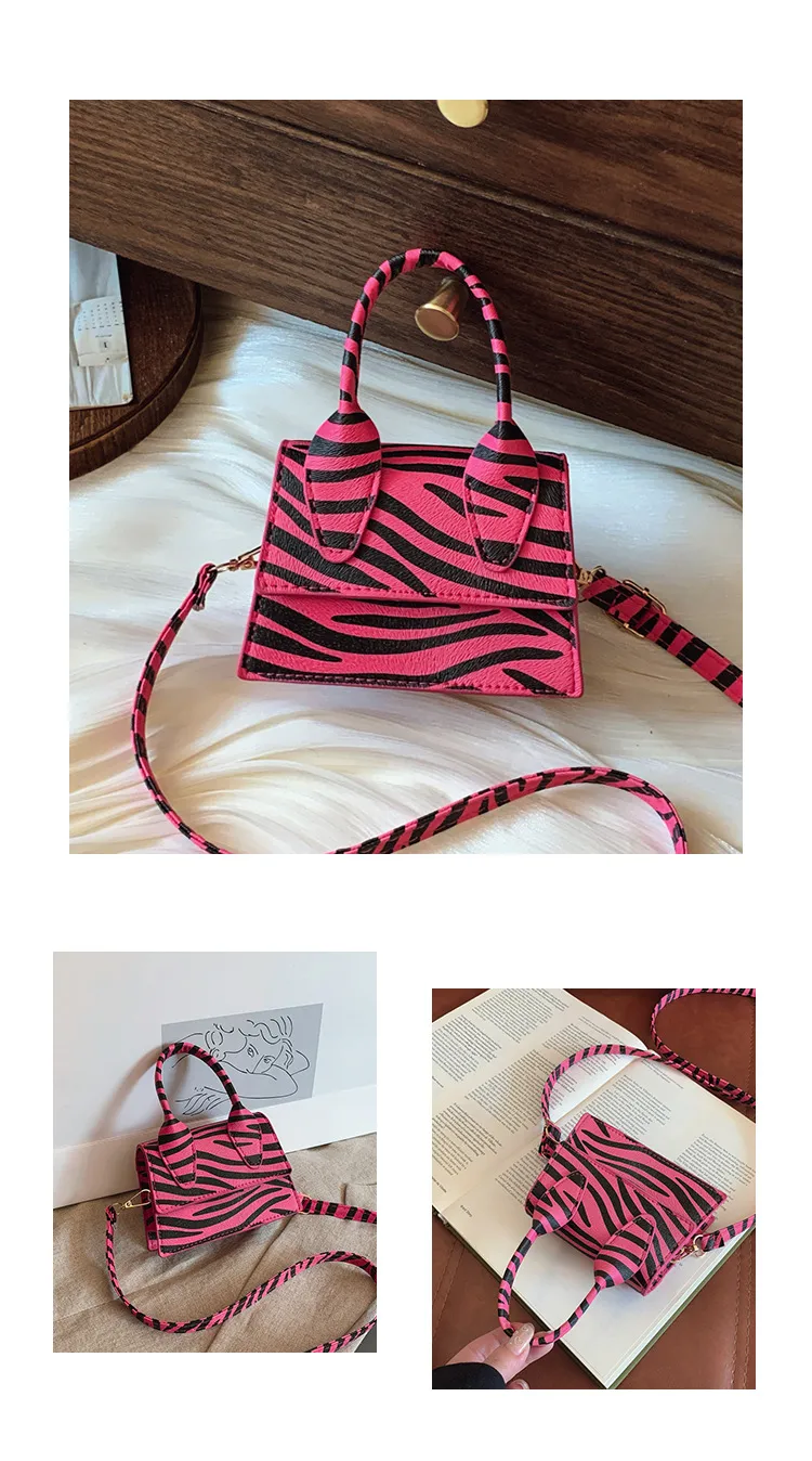 Niche Mini Crossbody Bag Female  New Fashion New Style Small Square Bag Zebra Print Textured Handbag display picture 13