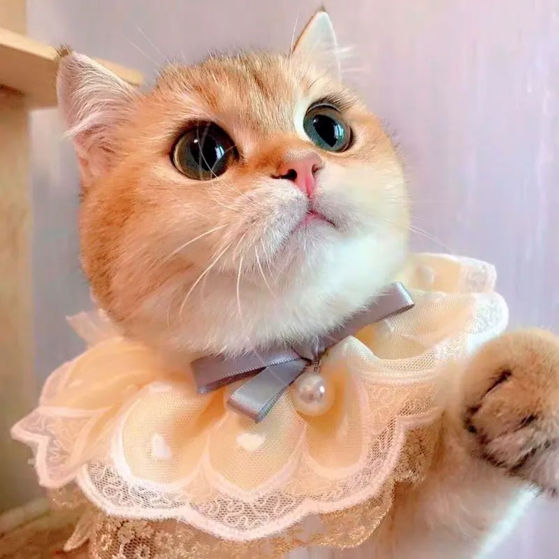 Cute Bib Collar Cat Dog Slip Towel Teddy Bib Round Neck Scarf Samo Sweet Lace Bib display picture 2