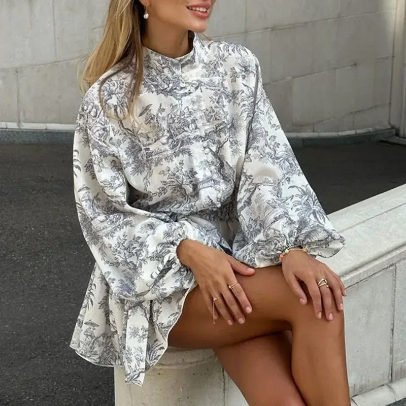 Spring Independent Station New  Women's Clothing Elegant Elegant Fashion Long Sleeve Lace-up National Style Printing Dress display picture 6