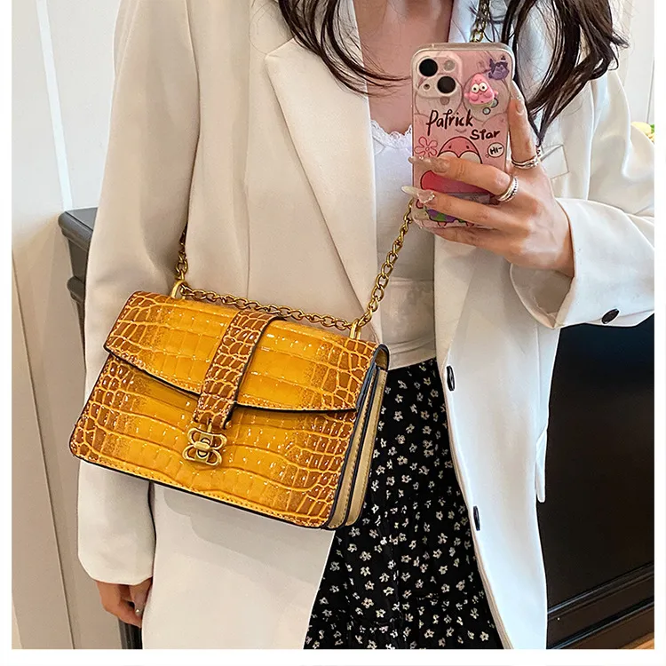 Fashion Chain Small Square Bag Female   New Arrival High Sense Shoulder Bag All-Match Crossbody Commuter Women's Bag display picture 19