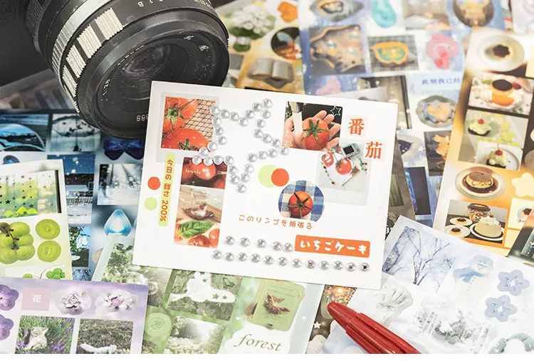 1 Piece 1 Set Animal Scenery School Paper Retro Stickers display picture 11