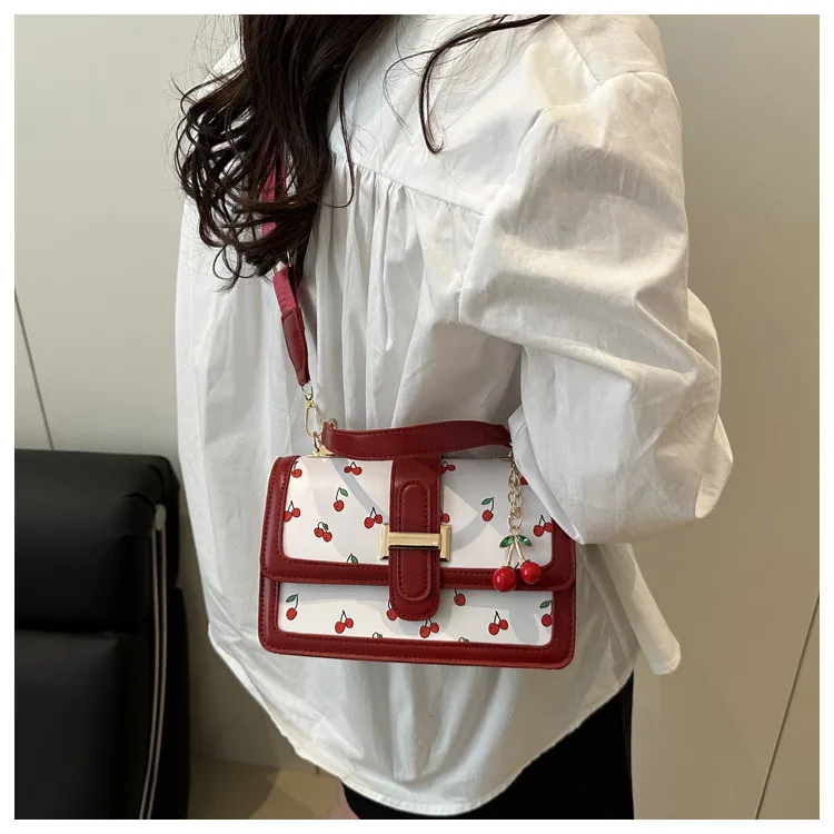 Printed Texture Fashionable Summer Large-Capacity Color Matching New Trendy Style Crossbody Handheld Women's Small Square Bag display picture 9