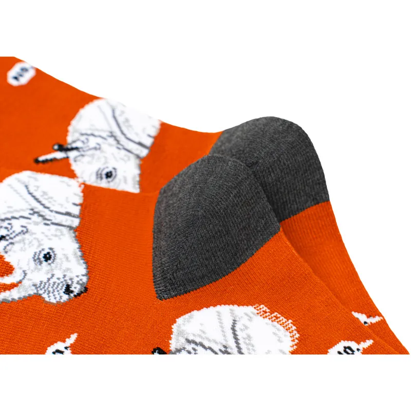 Men's Cotton Woodpecker Four Seasons Popular Rhinoceros Koala Female  Medium Tube Manufacturers Wholesale Tide Socks Men's Socks display picture 19
