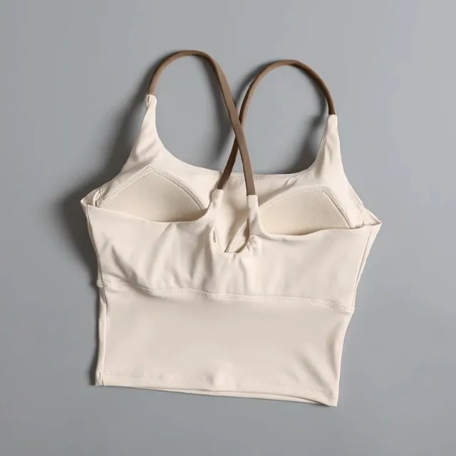 Sports Underwear Women's High-intensity Fitness Running Shockproof Yoga Clothing Color-matching Beauty Vest-style Push-up Bra display picture 3
