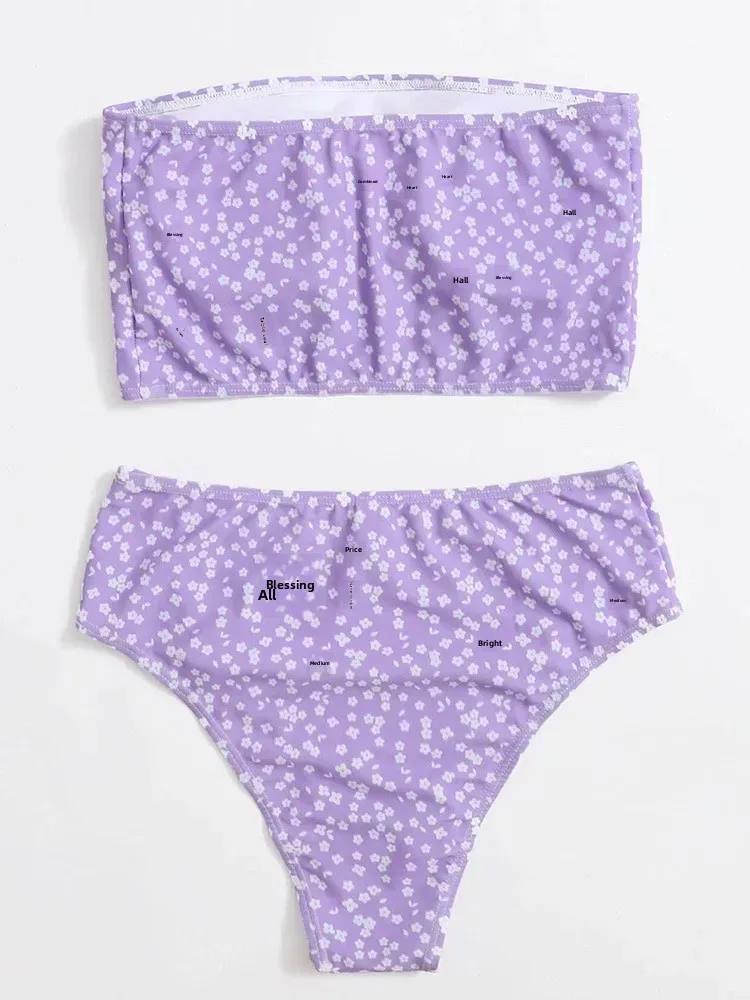Swimwear  Sexy Strapless High Waist Split Bikini   Explosions Swimwear display picture 59
