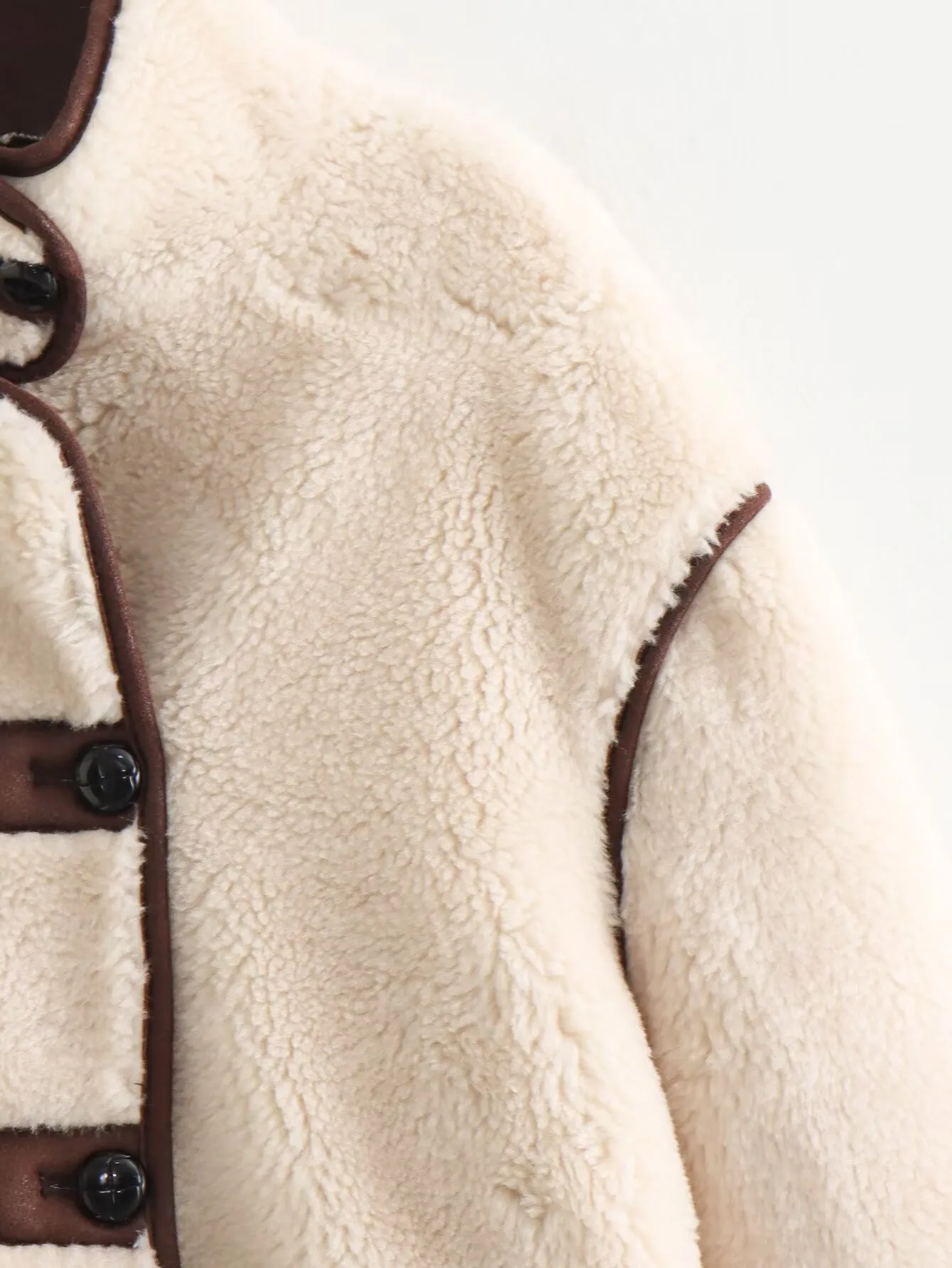 Fashionable Casual Short Plush Lined Leather And Fur Jacket Women's Elegant Long Sleeve Stand Collar Outerwear Single Button display picture 11