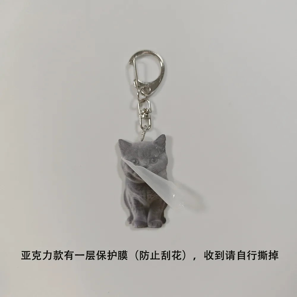Adorable Double-Sided Printed Acrylic Cat Dog Keychain Pendant Fashionable Animal Style Accessory Suitable For Daily Use display picture 2