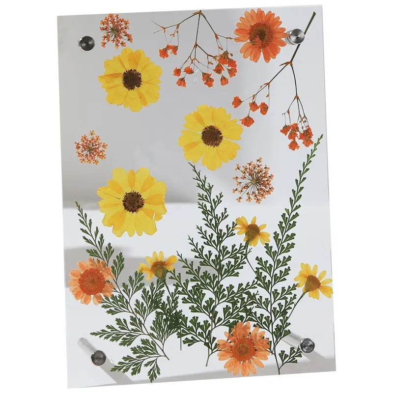Creative Handmade DIY Dried Flower Acrylic 7-Inch Photo Frame Embossed Art Photo Frame Nordic Minimalist Style Display Supplies display picture 5