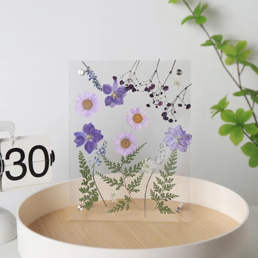 Creative Handmade DIY Dried Flower Acrylic 7-Inch Photo Frame Embossed Art Photo Frame Nordic Minimalist Style Display Supplies display picture 6