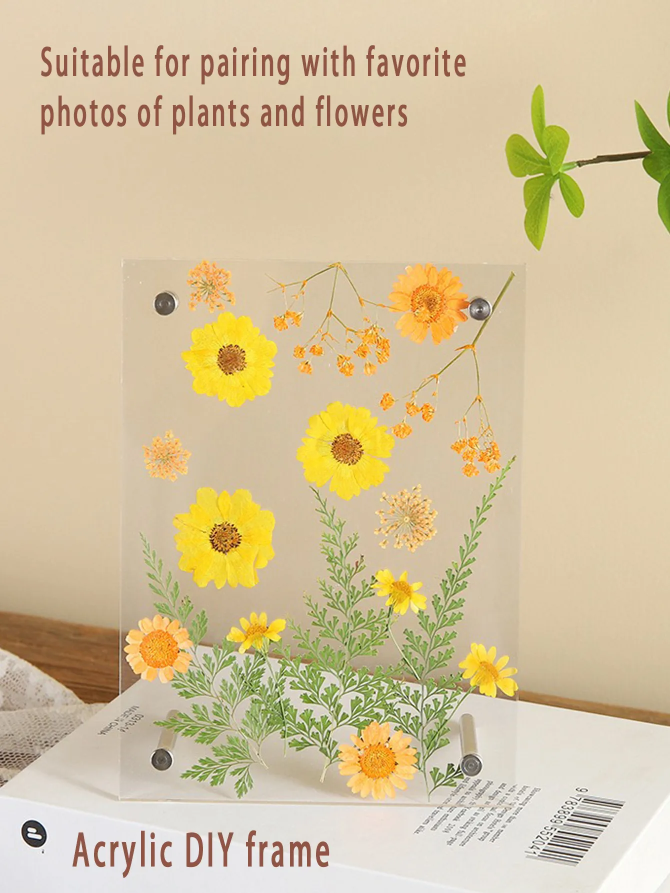 Creative Handmade DIY Dried Flower Acrylic 7-Inch Photo Frame Embossed Art Photo Frame Nordic Minimalist Style Display Supplies display picture 11