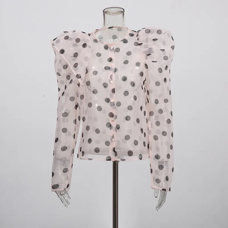 Women's Casual Fashionable Shirt Round Neck Long Sleeve Breathable Mesh Top Single Button Round Dot Pattern Comfortable Shirt display picture 3