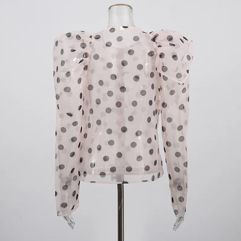 Women's Casual Fashionable Shirt Round Neck Long Sleeve Breathable Mesh Top Single Button Round Dot Pattern Comfortable Shirt display picture 5