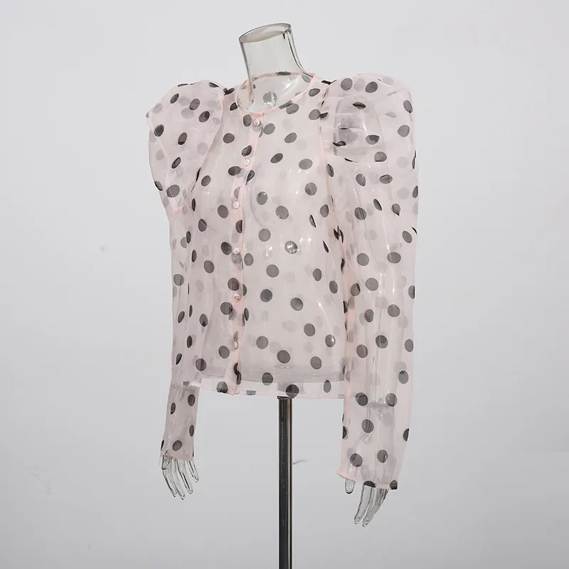 Women's Casual Fashionable Shirt Round Neck Long Sleeve Breathable Mesh Top Single Button Round Dot Pattern Comfortable Shirt display picture 4