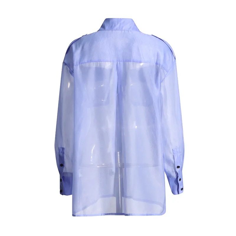 Elegant Thin Summer New Design Mesh See-through Loose Casual Women's Shirt Pure Color Long Sleeve Business Casual Top display picture 13