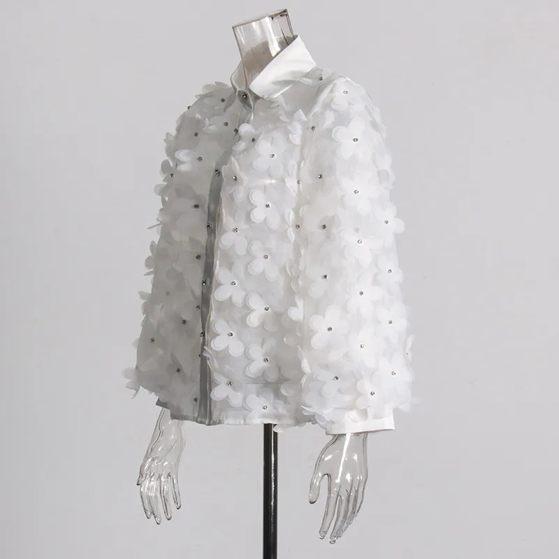 Hand Embroidered Long Sleeve Ladies Shirt 3D Mosaic Stand Collar Semi Transparent Fashionable Top Sweet Style Fresh Feel display picture 4