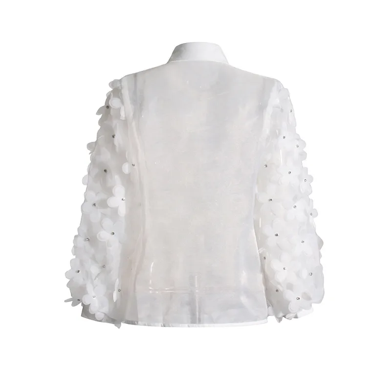 Hand Embroidered Long Sleeve Ladies Shirt 3D Mosaic Stand Collar Semi Transparent Fashionable Top Sweet Style Fresh Feel display picture 7