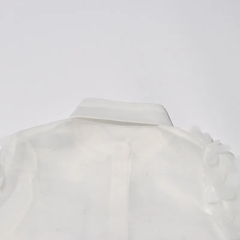 Hand Embroidered Long Sleeve Ladies Shirt 3D Mosaic Stand Collar Semi Transparent Fashionable Top Sweet Style Fresh Feel display picture 14