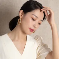 Fashion Geometric Plating Alloy No Inlaid Earrings main image 3