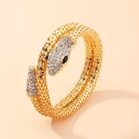 New Fashion Retro Fashion Spirit Snake Diamond Necklace Necklace Serpentine Bracelet Bracelet Wholesale main image 4
