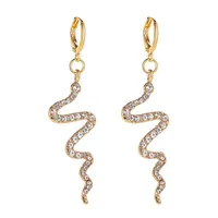 New Fashion Creative Snake-shaped Earrings Long Diamond Earrings Simple Wave Earrings Wholesale main image 4
