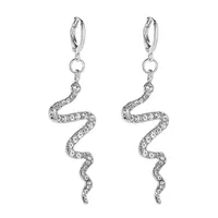 New Fashion Creative Snake-shaped Earrings Long Diamond Earrings Simple Wave Earrings Wholesale sku image 2