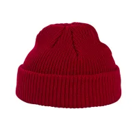 Exclusive For Cross-border Spot Goods Solid Color Knitted Hat Women's Autumn And Winter Warm All-matching Skullcap Korean Style Beanie Hat Woolen Cap Men's Fashion main image 5