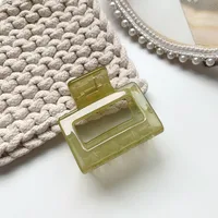 Medium-sized Hair Clip Korean Elegant Back Head Acrylic Hair Clip Acetate Hair Accessories Wholesale Nihaowholesale sku image 2