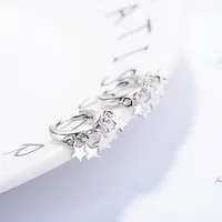 Korean Temperament Personality Wild Star Earrings Fashion Simple Earrings Ear Jewelry main image 2