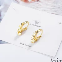 Korean Temperament Personality Wild Star Earrings Fashion Simple Earrings Ear Jewelry main image 3