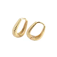 925 Sterling Silver No Inlaid Geometric Earrings main image 1