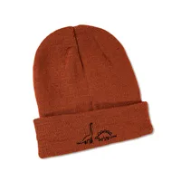 Woolen Hat Autumn And Winter New Wild Fashion Warmth Japanese Cute Two Dinosaur Knitted Hat Korean Trend sku image 6