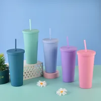 Double-layer Plastic Straw Cup With Lid 24oz Large-capacity Plastic Frosted Ready-to-hand Water Cup main image 4