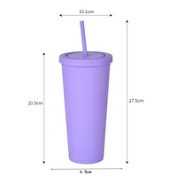 Double-layer Plastic Straw Cup With Lid 24oz Large-capacity Plastic Frosted Ready-to-hand Water Cup main image 5