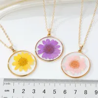 Bohemian Natural Dried Flower Transparent Round Resin Necklace main image 5