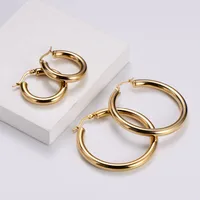 Simple Style Geometric Polishing Stainless Steel No Inlaid 18K Gold Plated Earrings main image 3